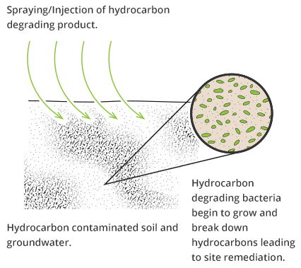 Remediation Process Diagram